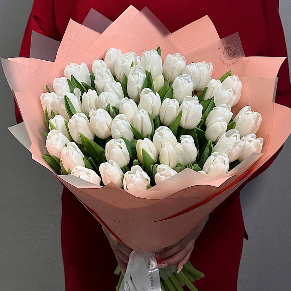 Букет из 51 белого тюльпана (Голландия) в матовой упаковке