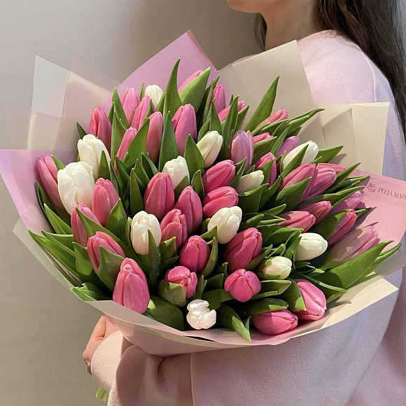 Букет из 51 белого и розового тюльпана (Голландия) в матовой упаковке