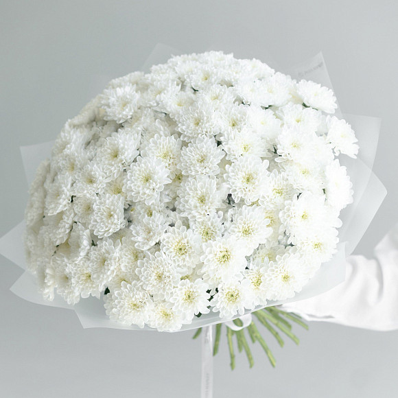 Букет из 21 белой кустовой хризантемы Алтай в матовой упаковке