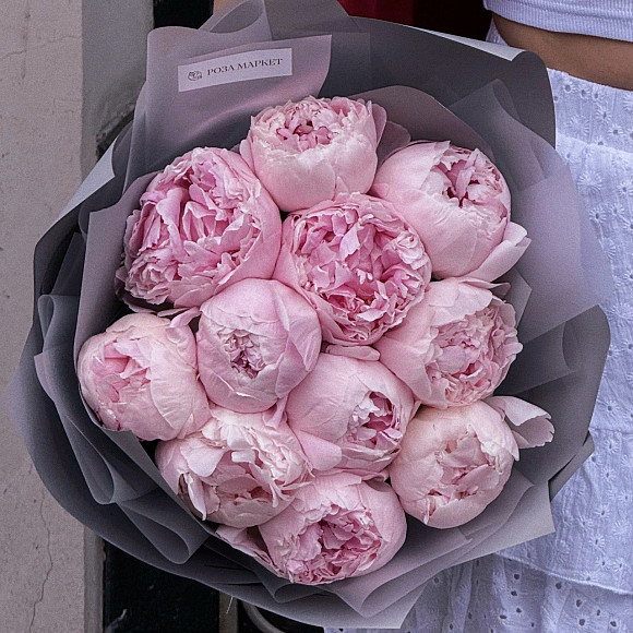 Букет из 11 розовых пионов Сара Бернар в упаковке