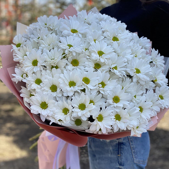 Букет из 15 ромашковых кустовых хризантем в фирменной упаковке