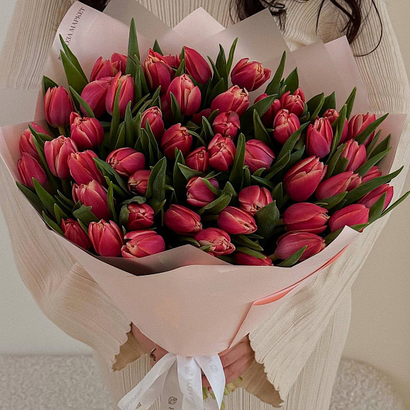 Букет из 51 пионовидного тюльпана Коламбус (Голландия) в матовой упаковке