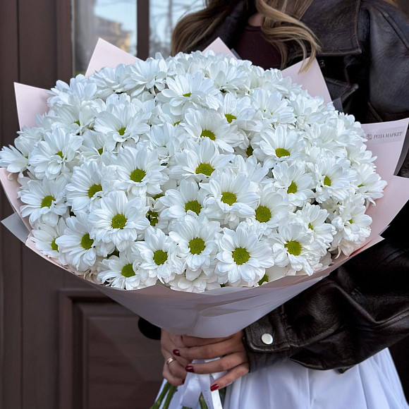 Букет из 15 ромашковых кустовых хризантем в упаковке