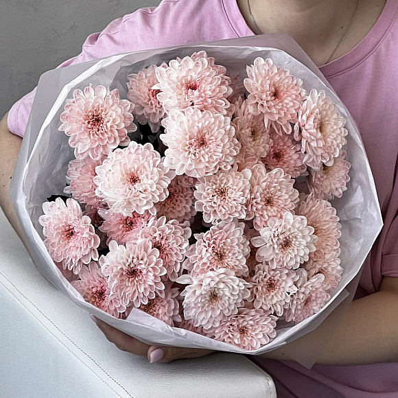 Букет из 7 розовых кустовых хризантем в упаковке